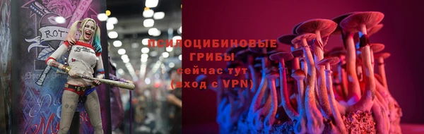 метадон Армянск
