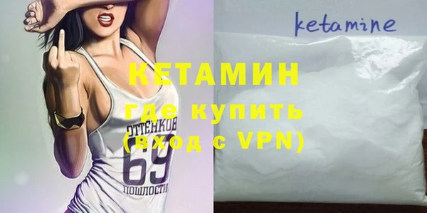 стаф Аркадак