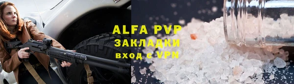 стаф Аркадак