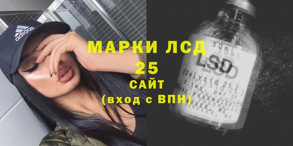 стаф Аркадак