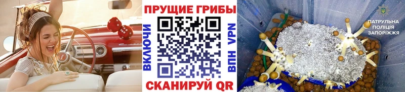 Псилоцибиновые грибы MAGIC MUSHROOMS  Зеленоградск 