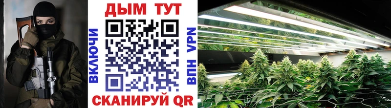 Марихуана Bruce Banner  цены наркотик  mega как войти  Зеленоградск 